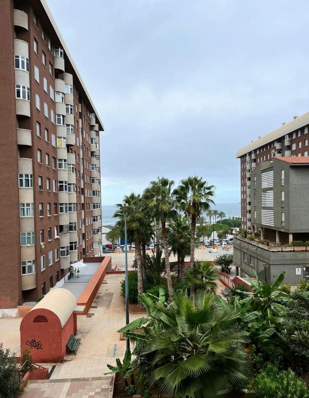 Výhľad z balkóna v Puerto de la Cruz na palmy a oceán.