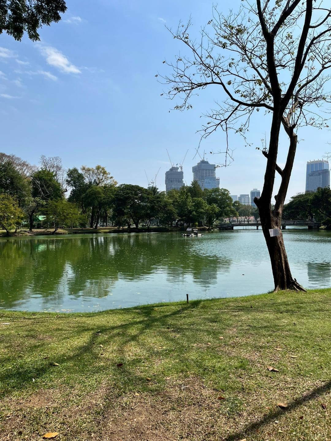 Lumpini Park sa nachádza v centre Bangkoku, avšak je tam ticho a pokoj.