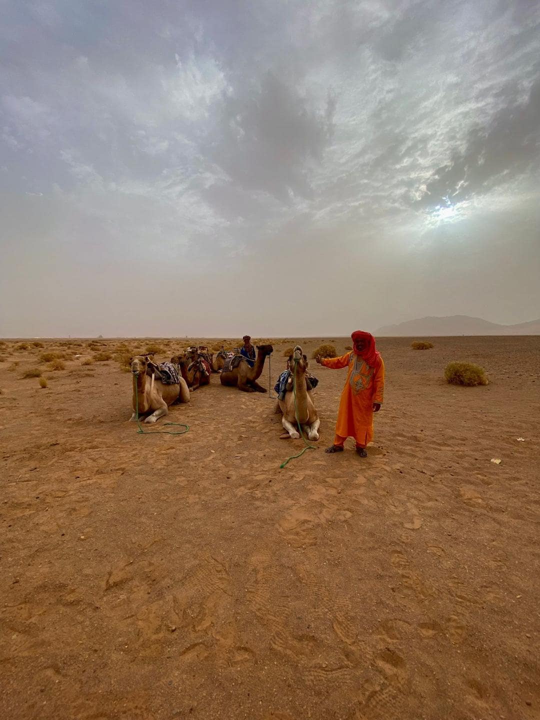 Berber s ťavami na púšti.