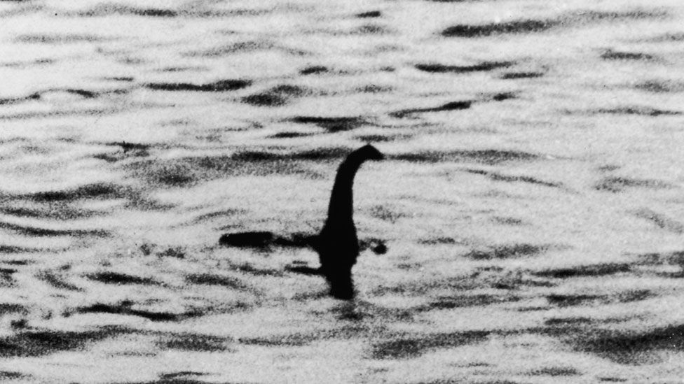 Lochnesská príšera plávajúca na jazere Loch Ness.