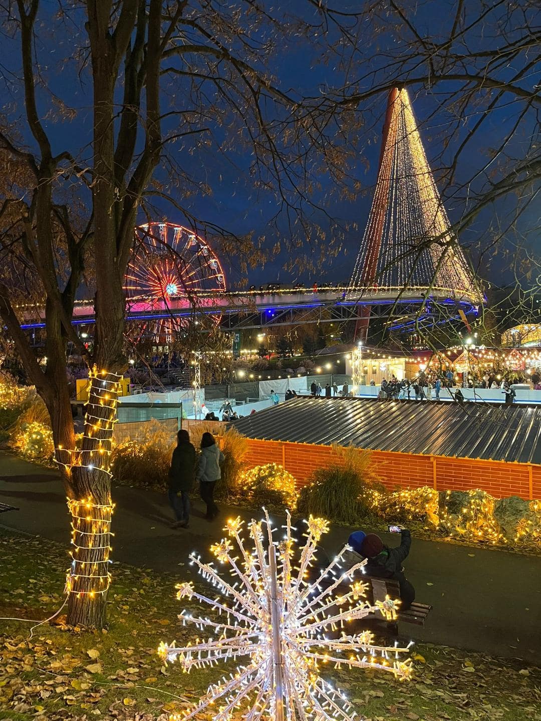 Vysvietený park vianočnými ozdobami v Bukurešti.