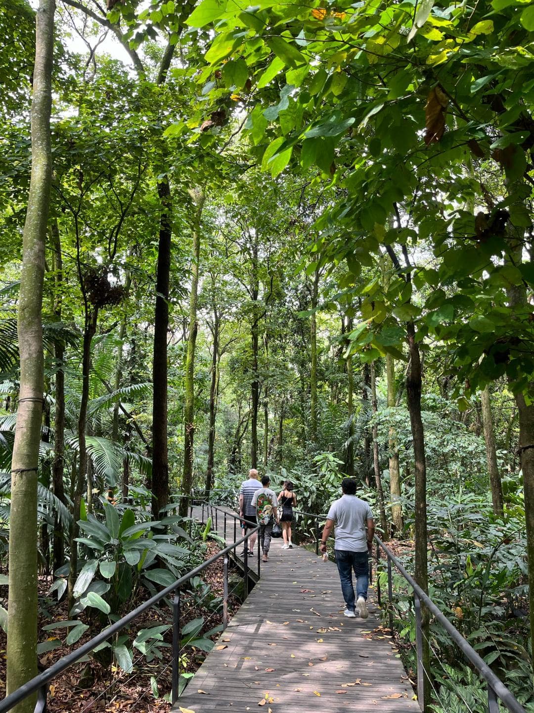 Chodník v botanickej záhrade, po ktorom kráčajú turisti.
