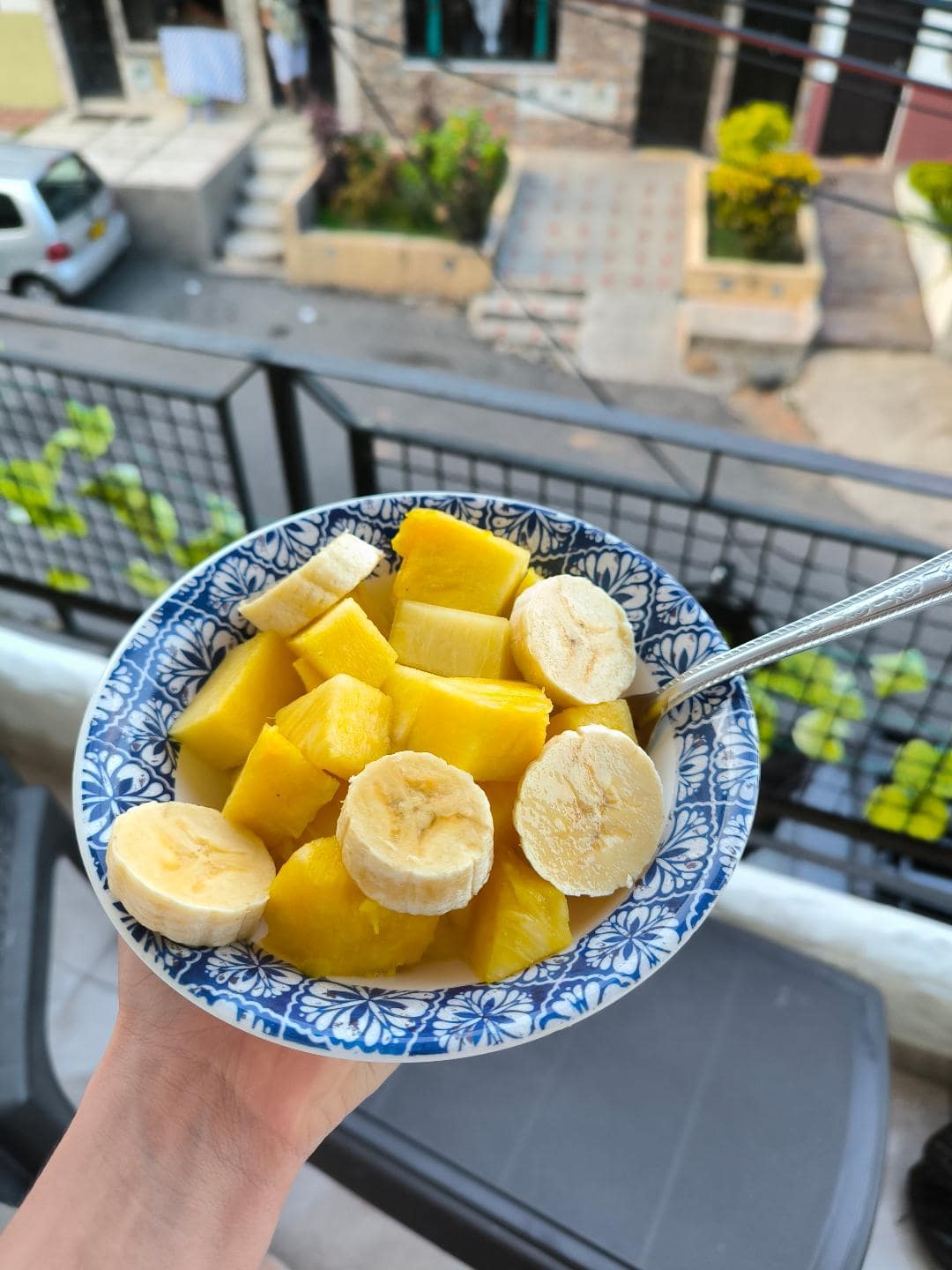 Ovocný tanier s mangom a ananásom.