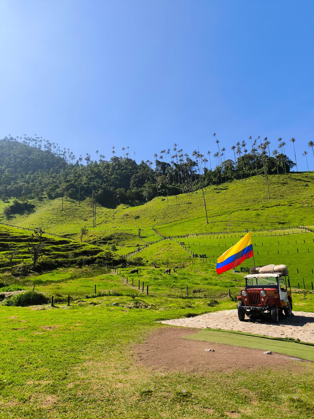 Jeep s vejúcou kolumbijskou vlajkou stojí uprostred lúky. Za ním sú vysoké palmy.