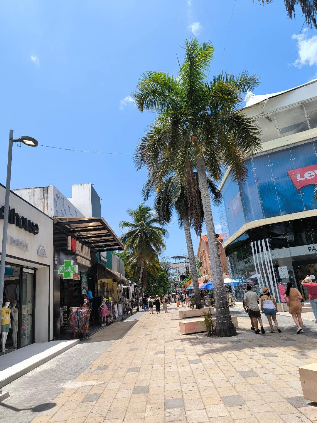 Ulica plná obchodov, reštaurácií a s palmou.
