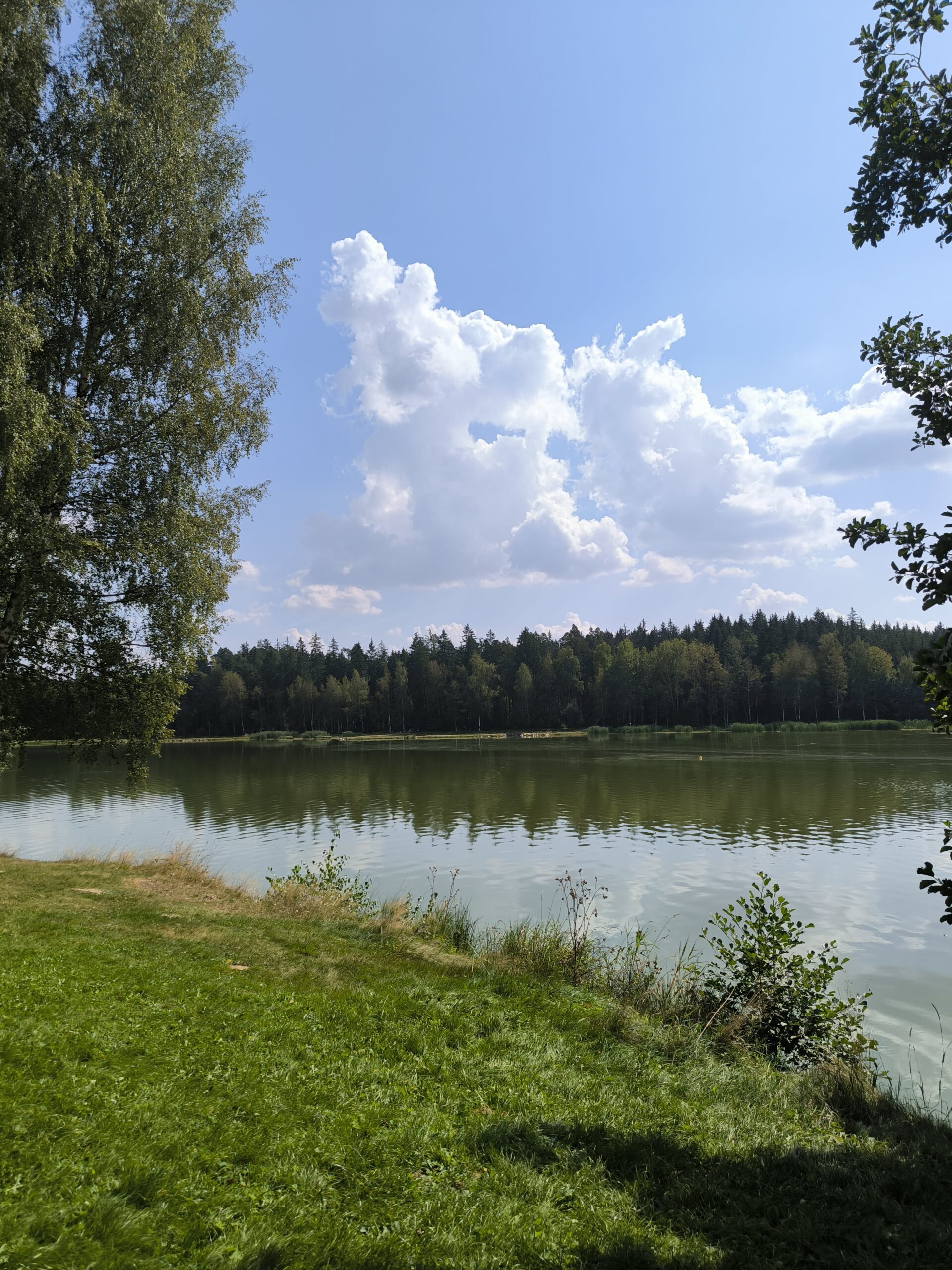 Zelená lúka, za ktorou sa rozprestiera rybník.