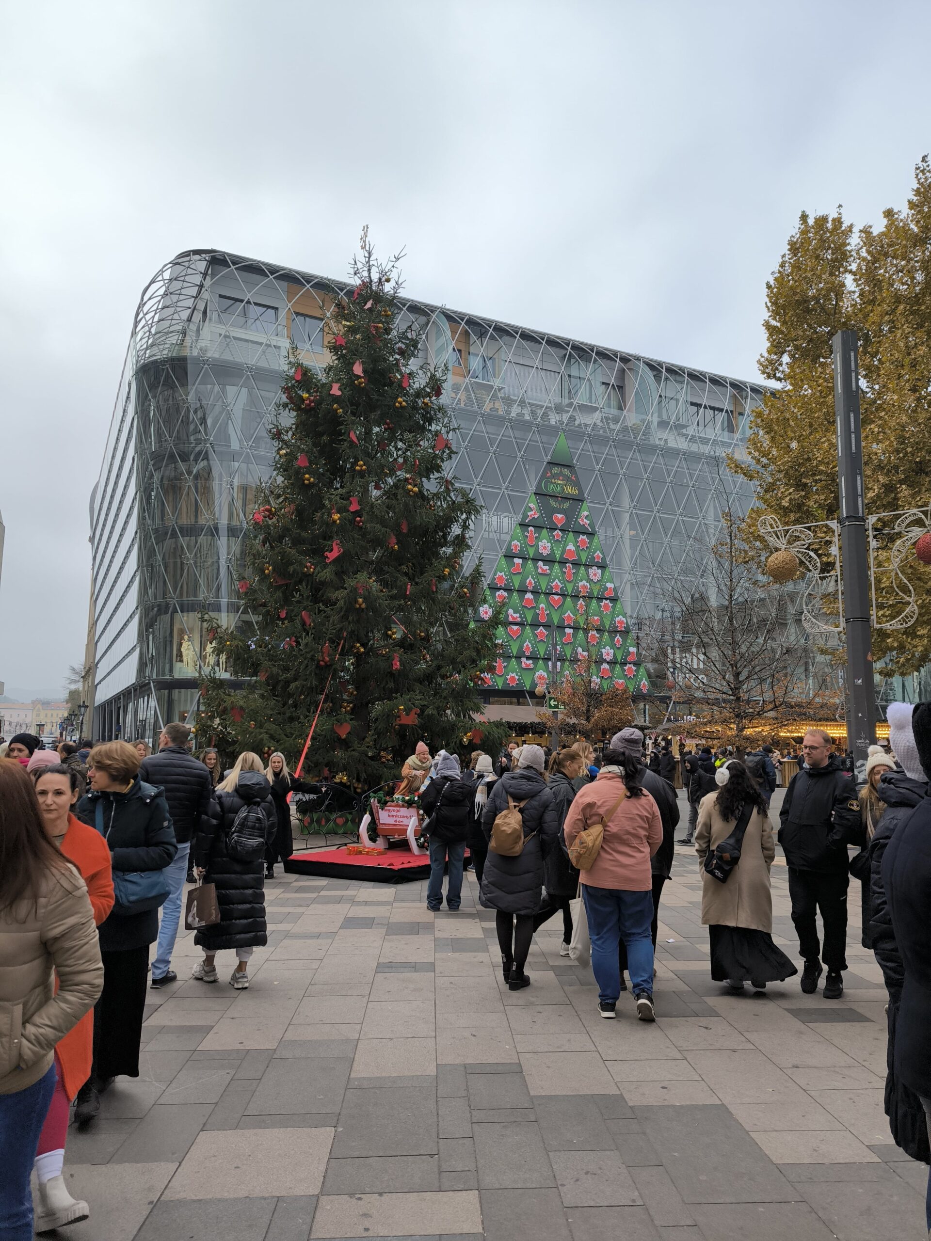 Na obrázku je vysoký vianočný stromček. Za ním je na stene adventný kalendár.